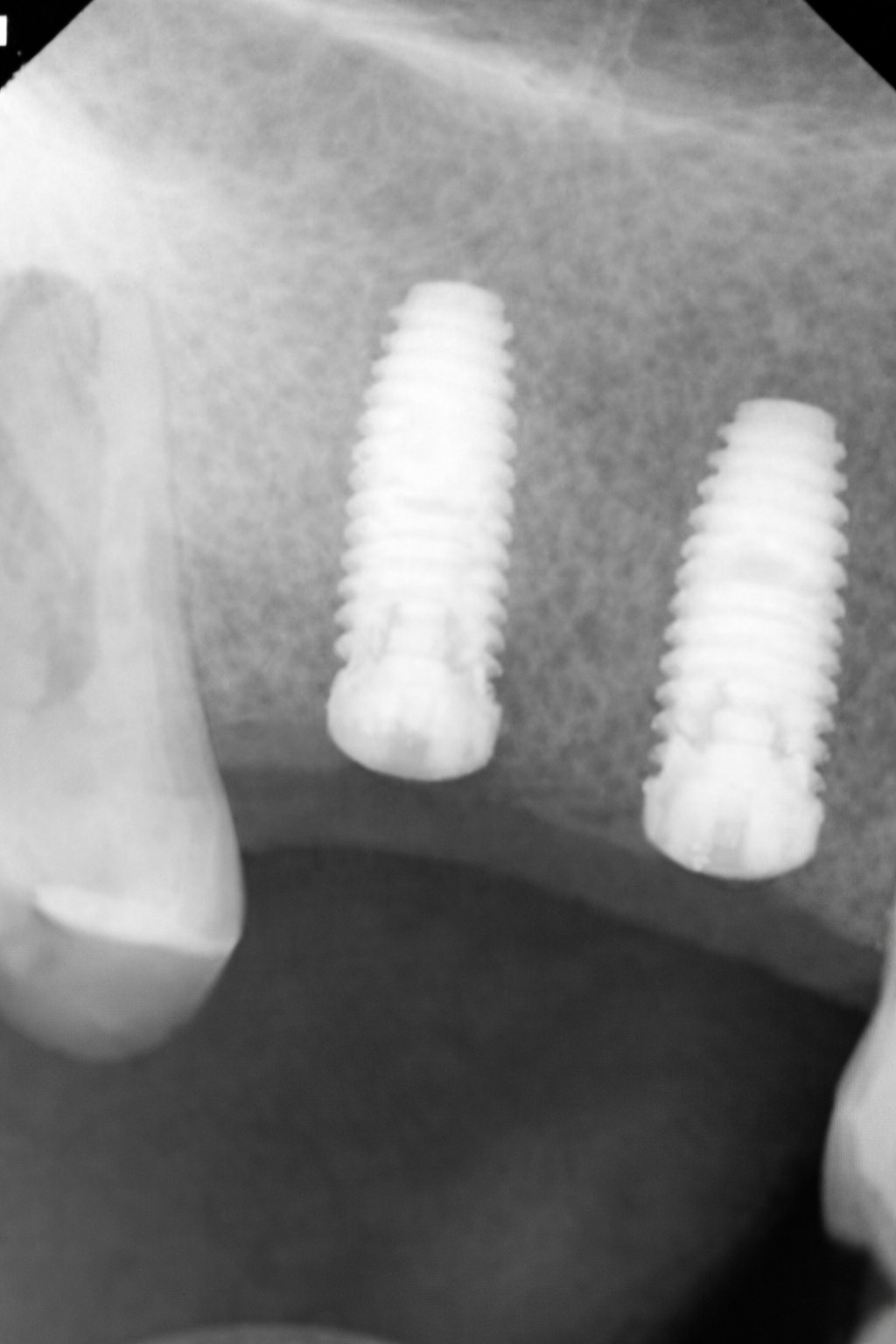 이설옥 대표원장